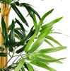 Artificial Bamboo Plant with Plastic Planter Pot, 39.4", Green, Home Office Decor, Floor Plant